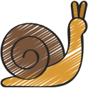 Snail