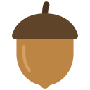 Acorn