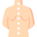 coluna vertebral