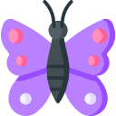 mariposa