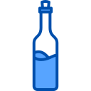 Wine bottle