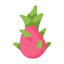 fruit du dragon