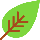 Leaf