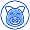 Pig