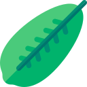 paraplu plant blad