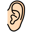 orelha