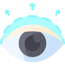 Eye