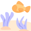 해양 생물