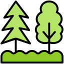 forêt