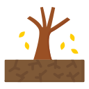siccità