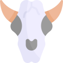 cráneo de toro