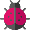 coccinelle