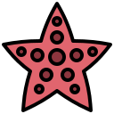 estrella de mar