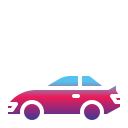coche
