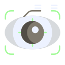 reconocimiento ocular