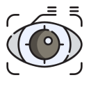 reconhecimento ocular