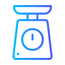 Weight scale