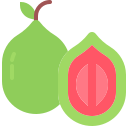 guayaba