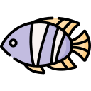 tropikalna ryba