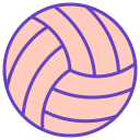 volleybal bal