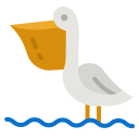 Pelican