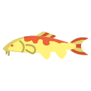 peixe carpa