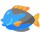 poisson bleu tang