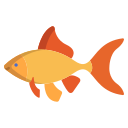 ryba