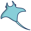 manta ray