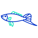 魚