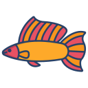 peixe