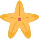морская звезда