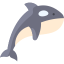 orca