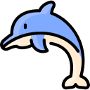 Dolphin