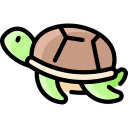 tartaruga marinha