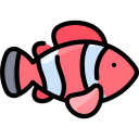 рыба-клоун