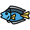 poisson bleu tang