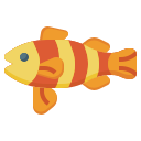 pesce pagliaccio