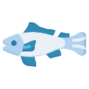 pesce ebreo