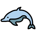 Dolphin