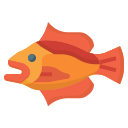 felsenfisch