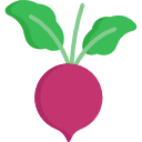 Beet