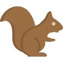 scoiattolo
