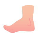 fuß