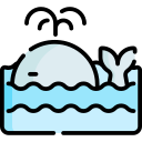 Whale