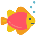 Tropical fish