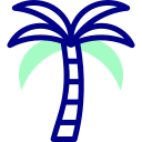 Palm tree