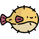 blowfish