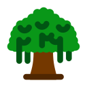 ガジュマルの木
