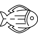 poisson face à droite Icône